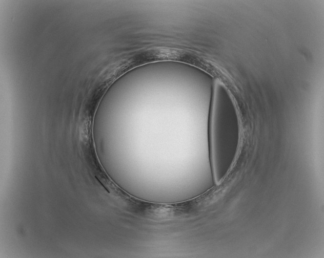 X0000116600325200912110945