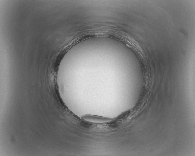 X0000116600329200912110945