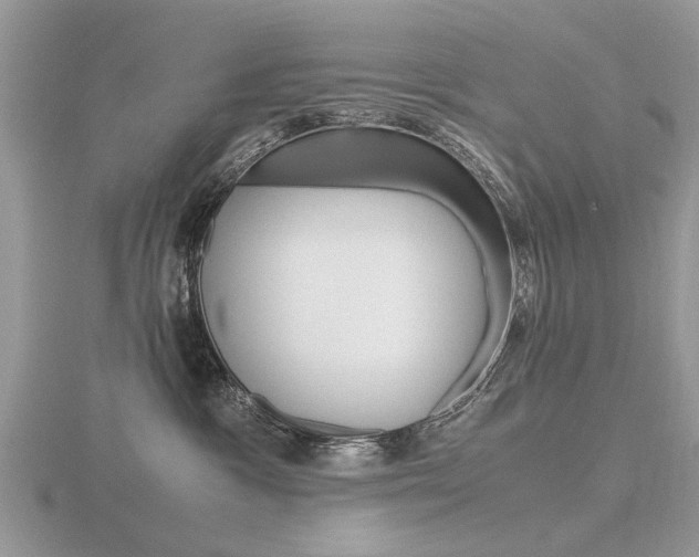 X0000116600333200912110945
