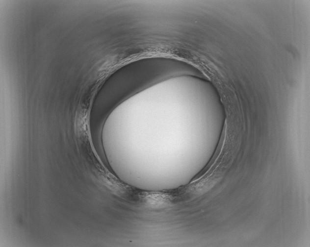 X0000116600336200912110945