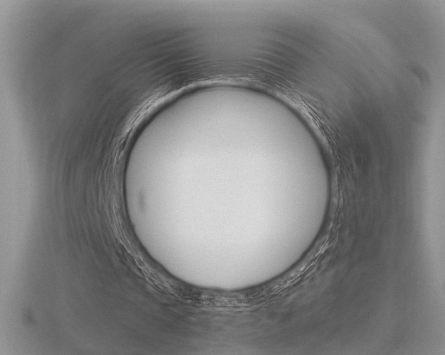 X0000116600337200912110944