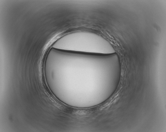 X0000116600341200912110944