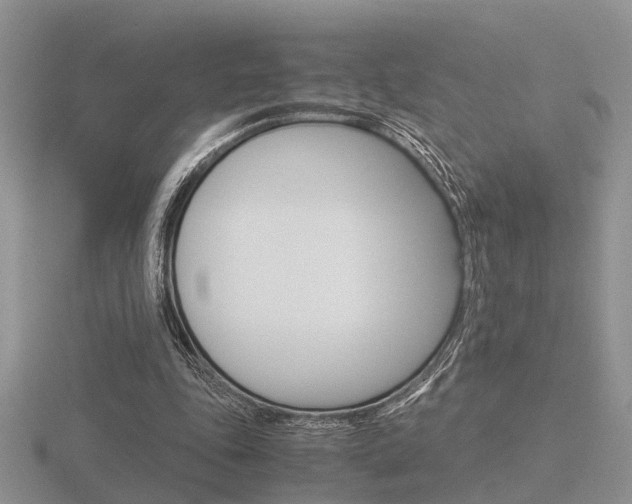 X0000116600343200912110944