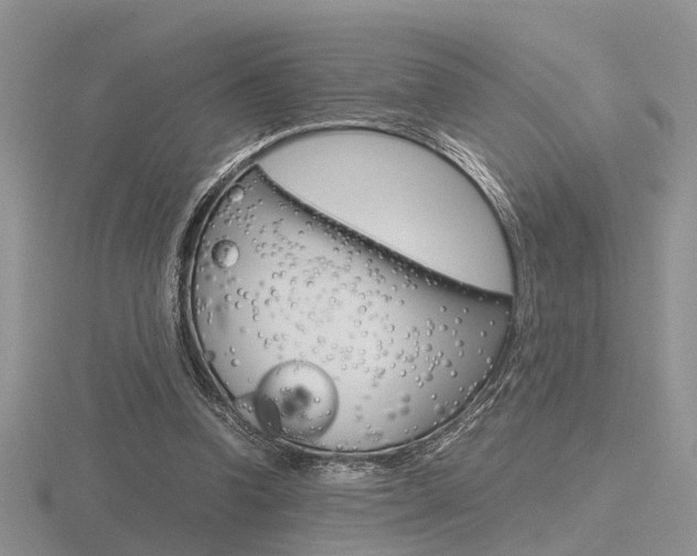 X0000116600346200912110944