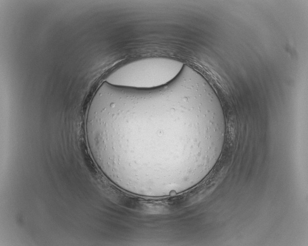 X0000116600359200912110945