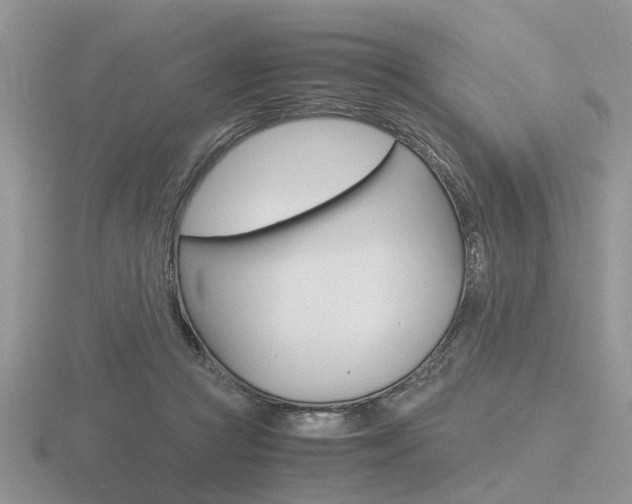 X0000116600361200912110945