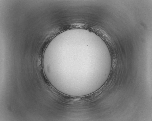 X0000116600365200912110945