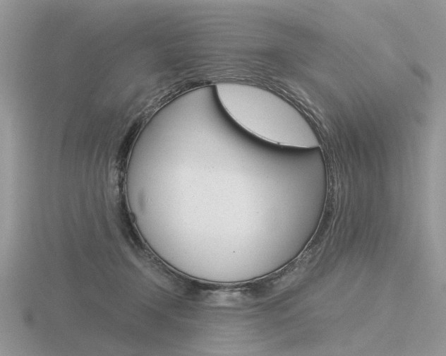 X0000116600366200912110945
