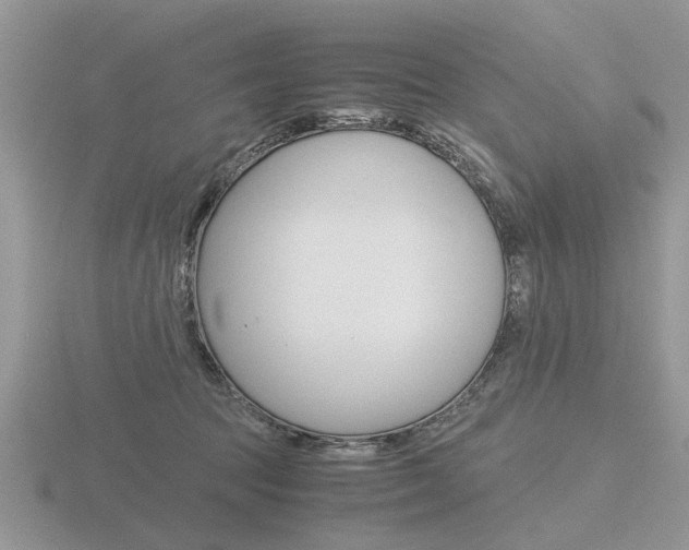 X0000116600369200912110945