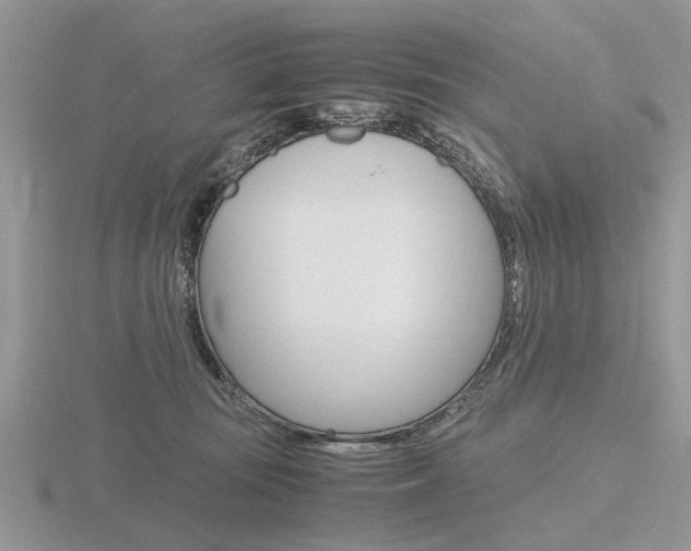 X0000116600371200912110945