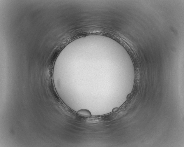 X0000116600373200912110945