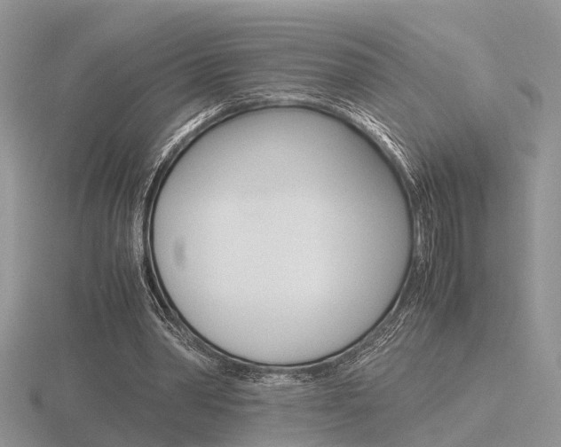 X0000116600390200912110944