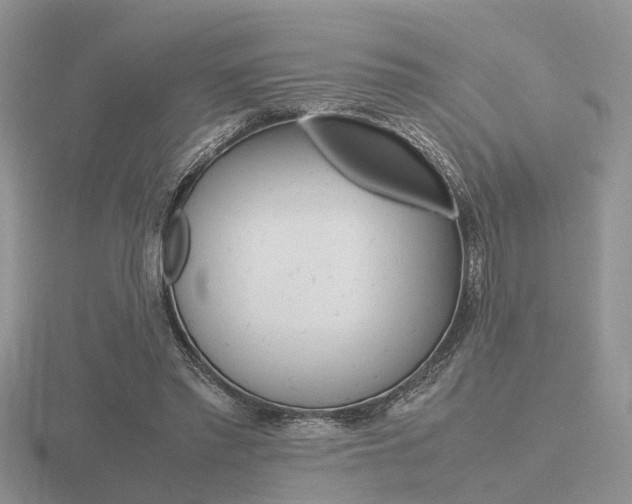 X0000116600397200912110944