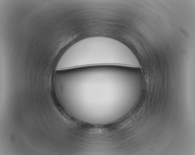 X0000116600404200912110944