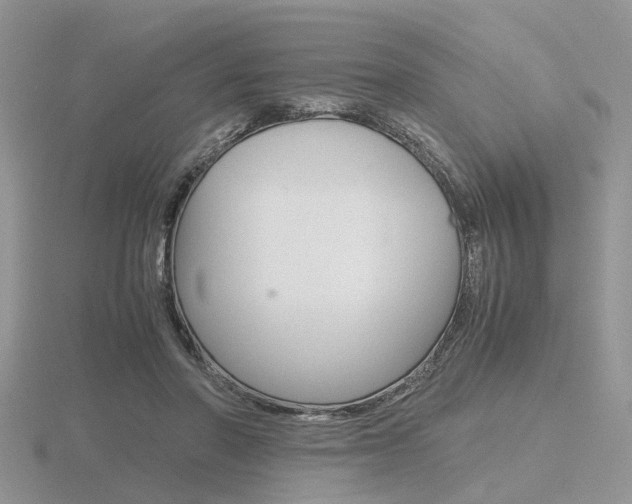 X0000116600406200912110944