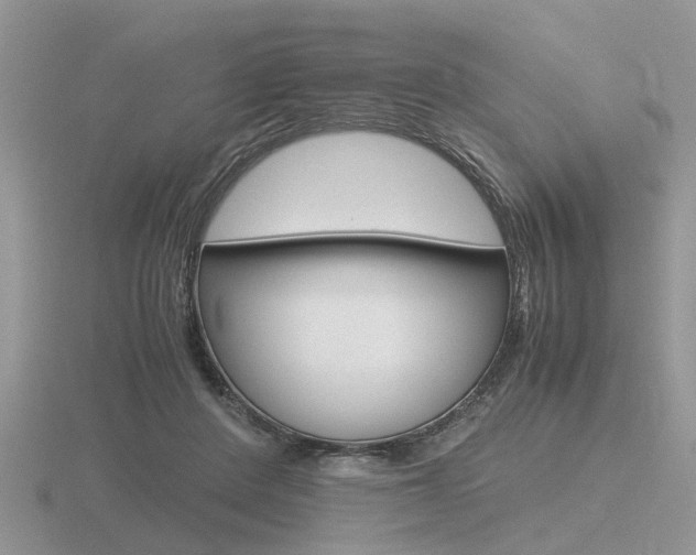 X0000116600408200912110944