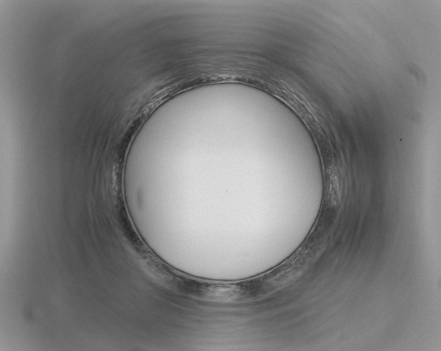 X0000116600410200912110944