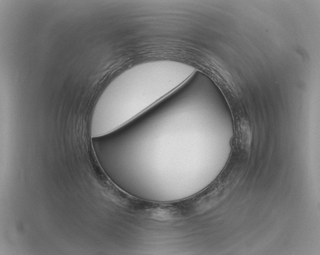X0000116600412200912110944