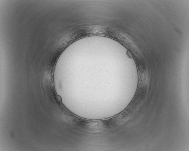 X0000116600415200912110944