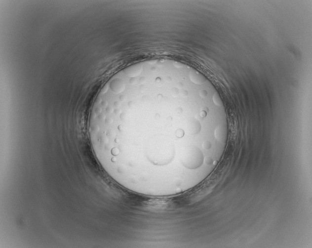 X0000116600418200912110944