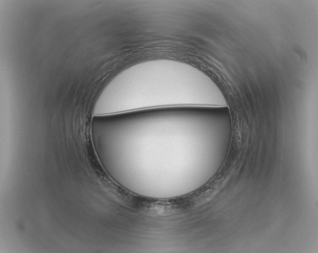 X0000116600420200912110944
