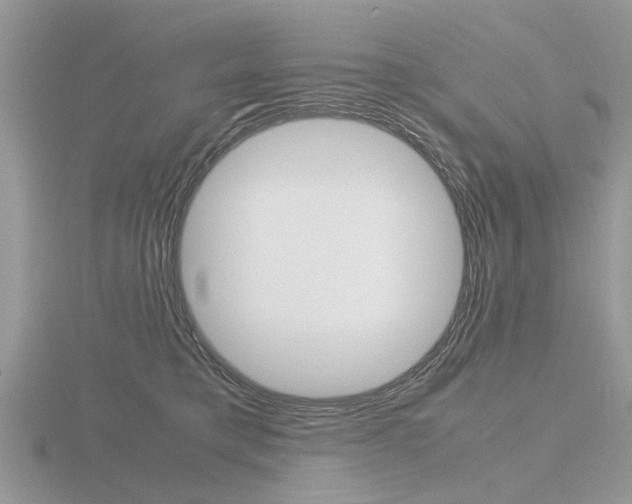 X0000116600421200912110944