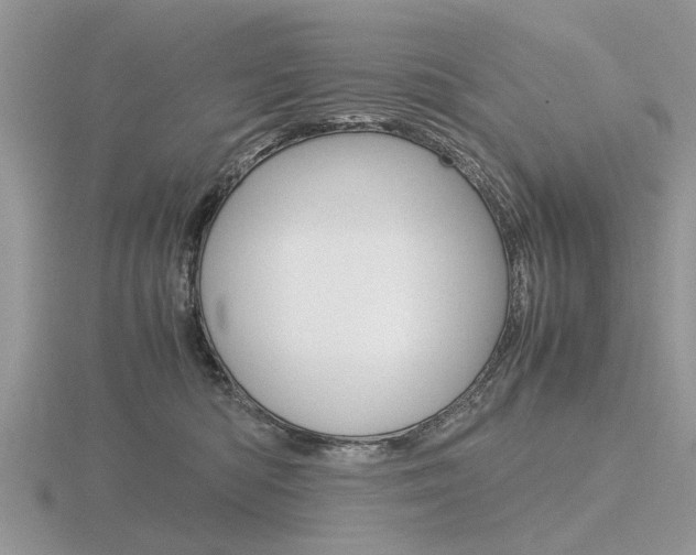 X0000116600422200912110944