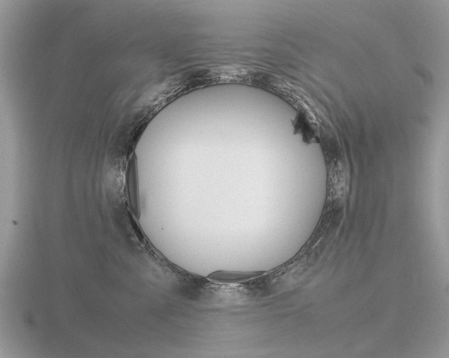 X0000116600427200912110944