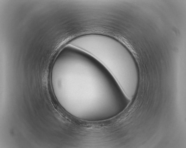 X0000116600434200912110943