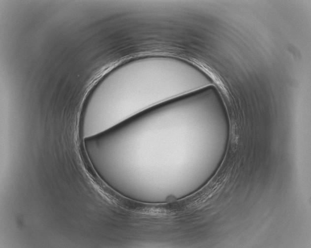 X0000116600437200912110943