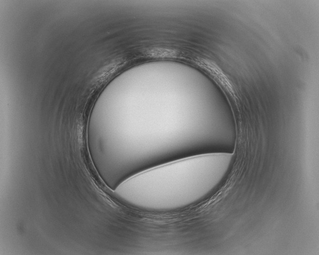 X0000116600441200912110943