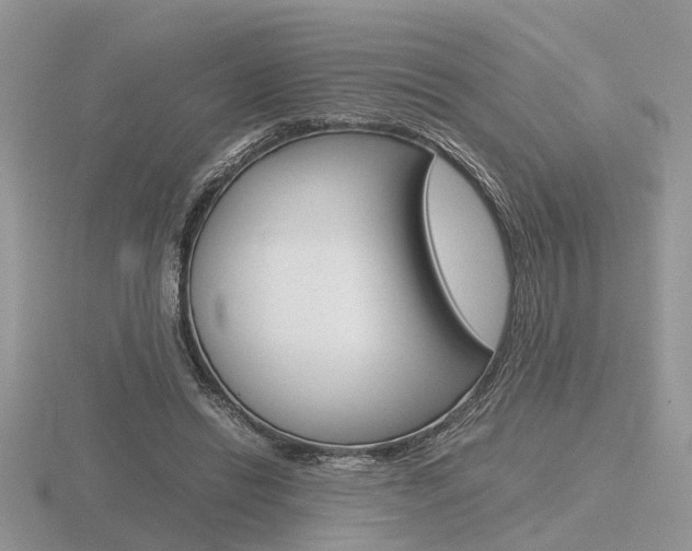 X0000116600446200912110943