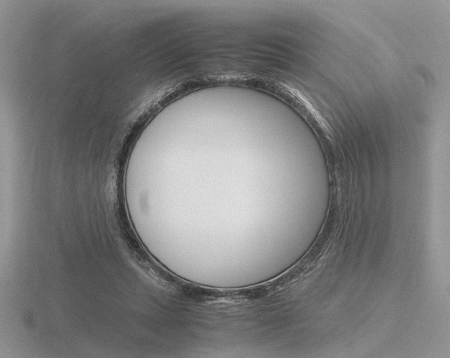X0000116600447200912110943