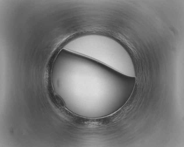 X0000116600448200912110943