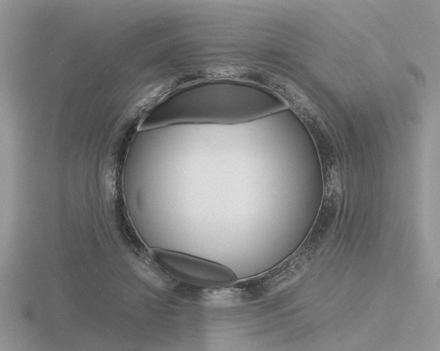 X0000116600452200912110943