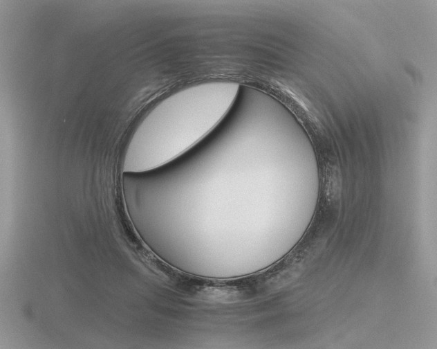 X0000116600455200912110943