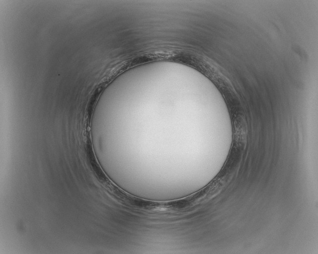 X0000116600460200912110943
