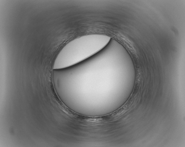 X0000116600465200912110943