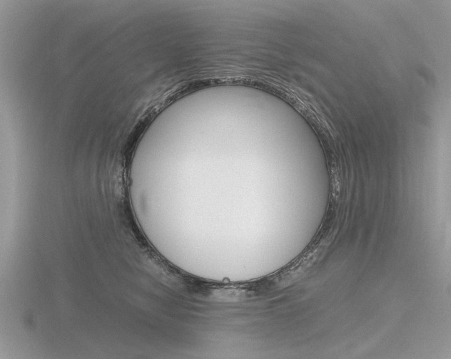 X0000116600470200912110943