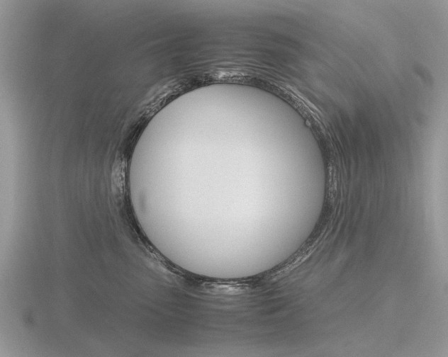 X0000116600475200912110943