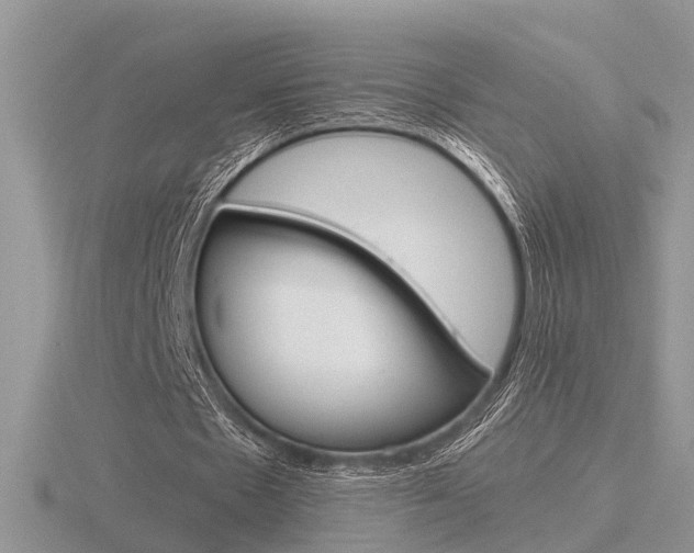 X0000116600481200912110943