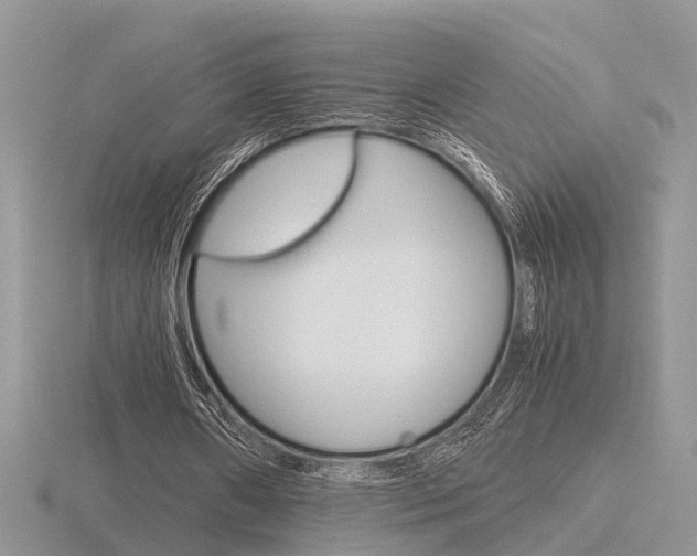 X0000116600482200912110943