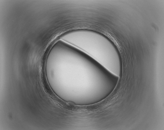 X0000116600483200912110943