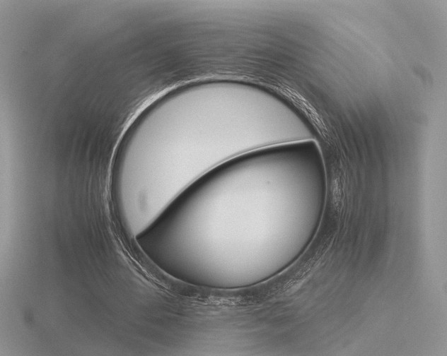 X0000116600484200912110943