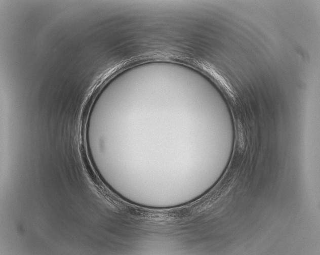 X0000116600486200912110943