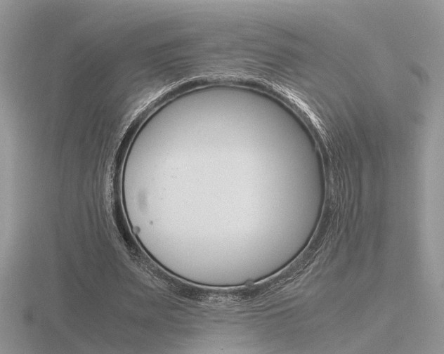 X0000116600487200912110943