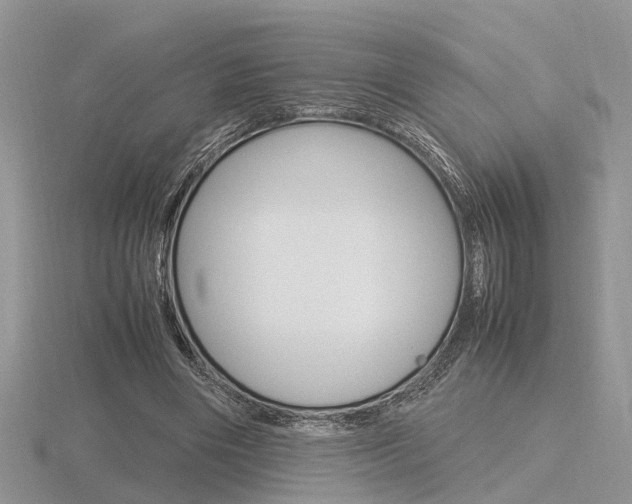 X0000116600490200912110943