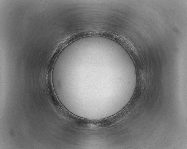 X0000116600496200912110943
