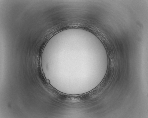 X0000116600498200912110943