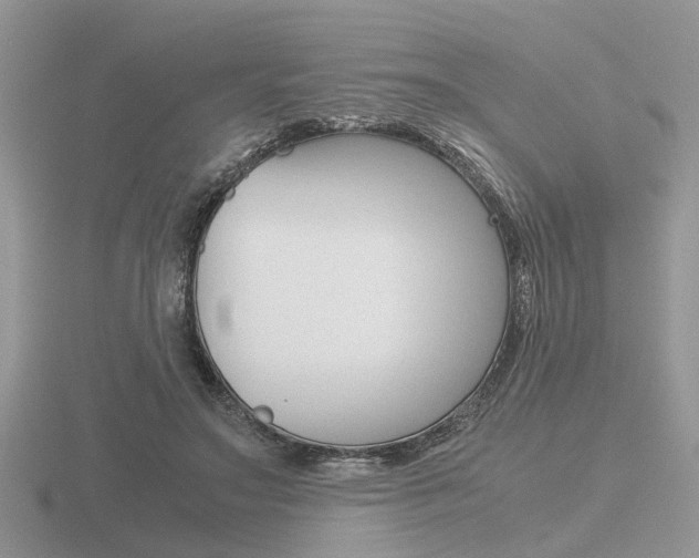 X0000116600499200912110943
